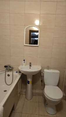 1-bedroom apartment near Blynizhny Kyivsky Street