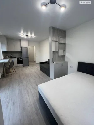 Long-Term Rental Apartment in Pankyvshchyna