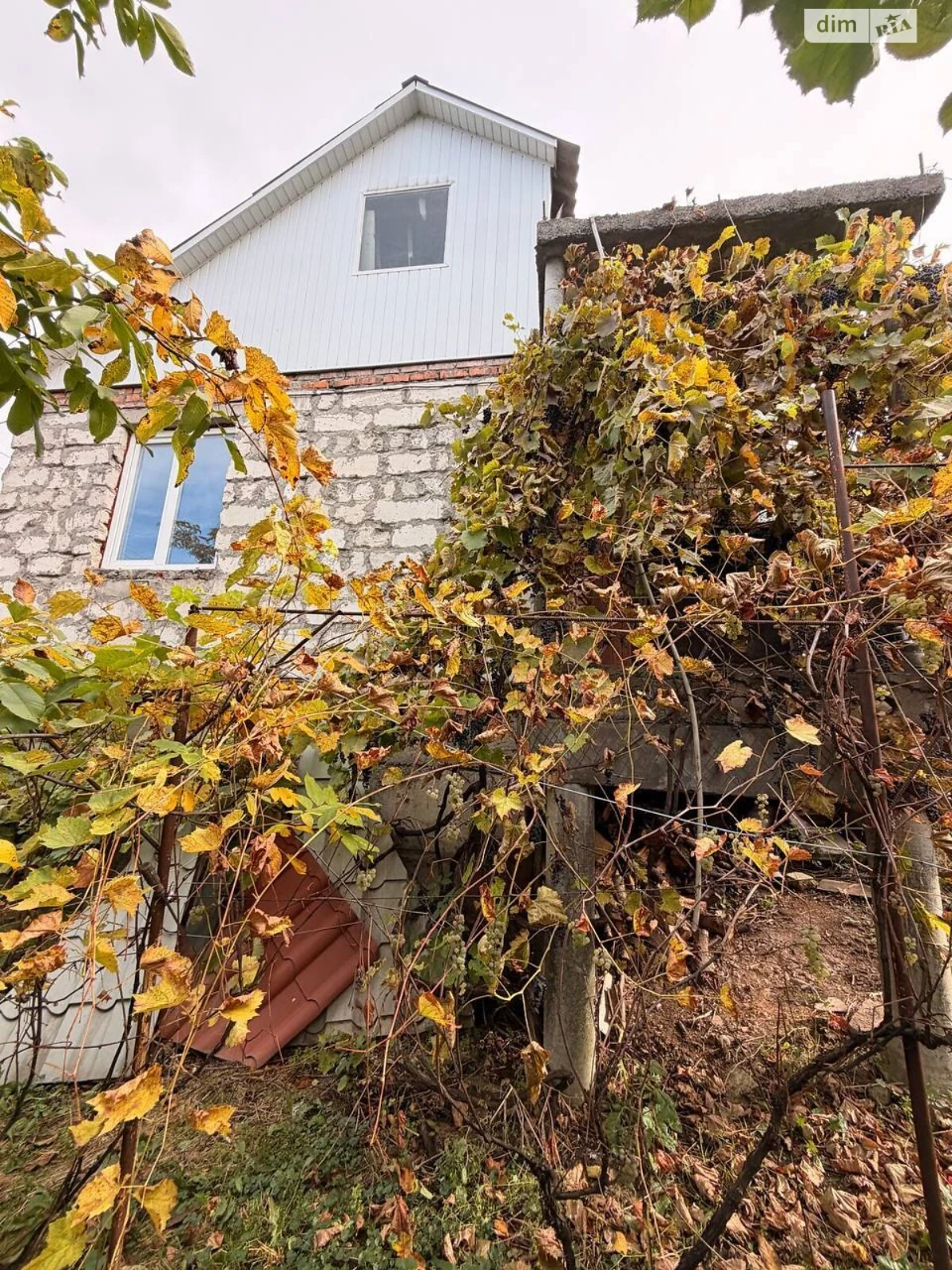 Продажа Дому Лезнево