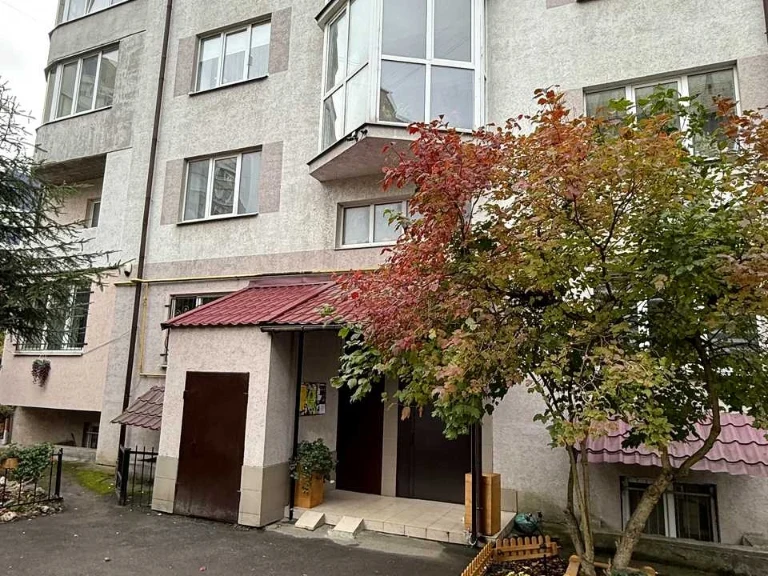 Apartment. Volodymyr Vernadsky Street, Lviv