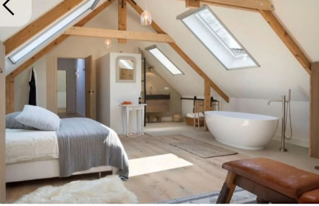 1-bedroom Loft Apartment