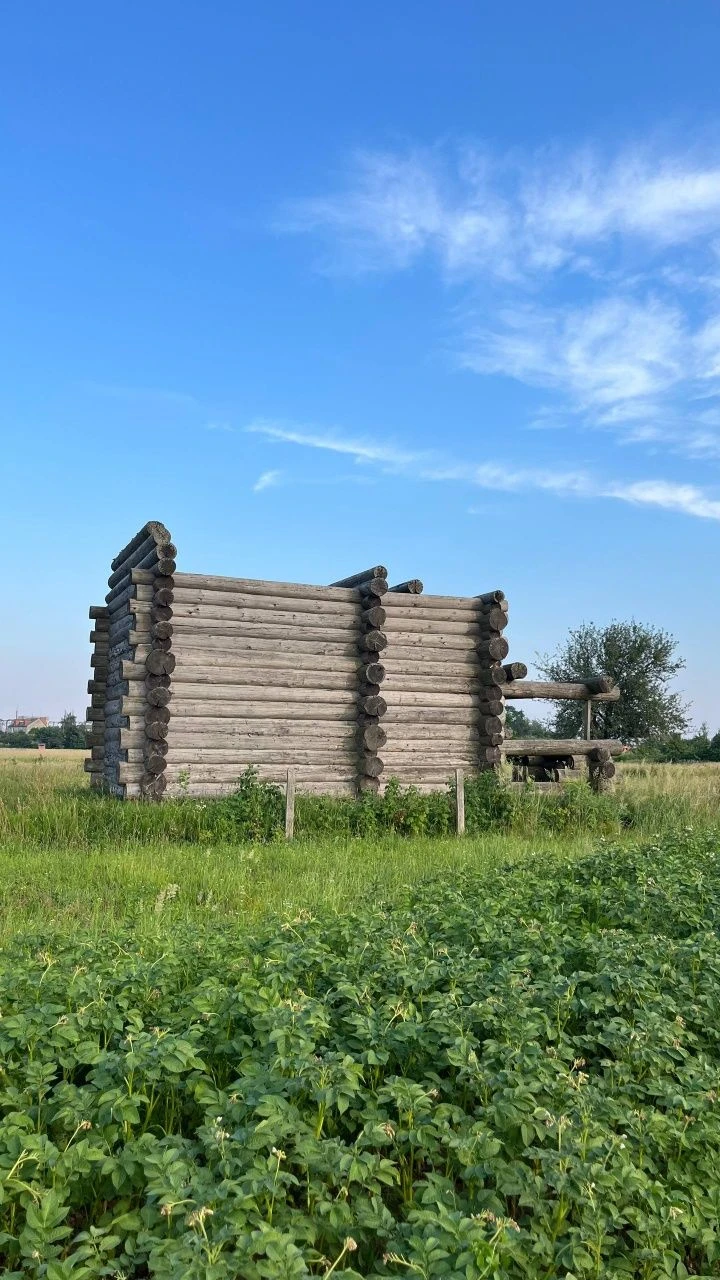 Продам будинок з дикого зрубу під розбір