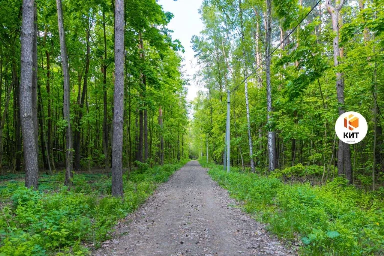 10соток Лісопарк (Лесопарк, рядом Парк Хаус, Форест, Роял Кл