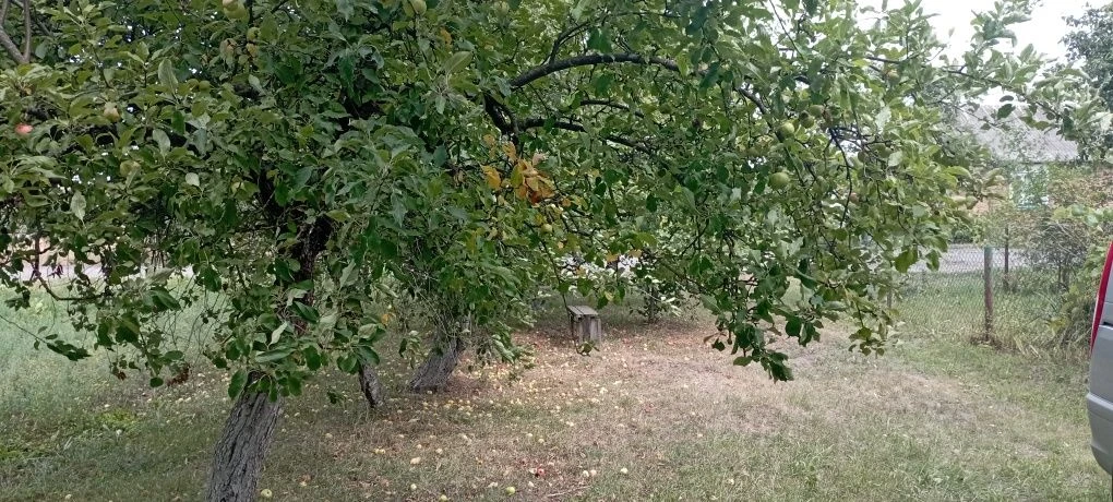 Продається будинок, с. Марковичі, Горохівського району