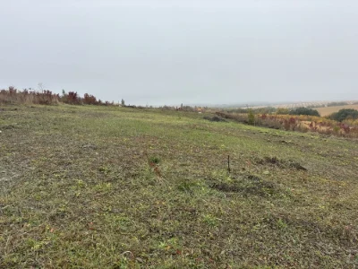 Участок от владельца в массиве Королевский