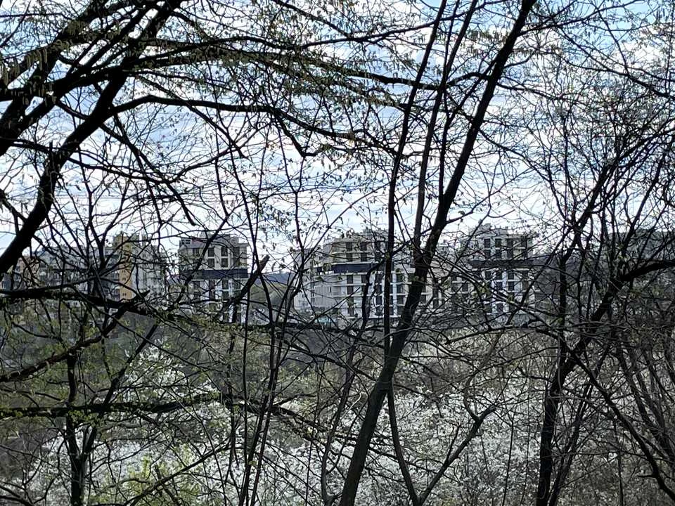 Ділянка. Львів, Замарстинівська вул.