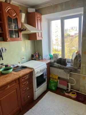 1-bedroom apartment near park, square, and lake, Myr Street