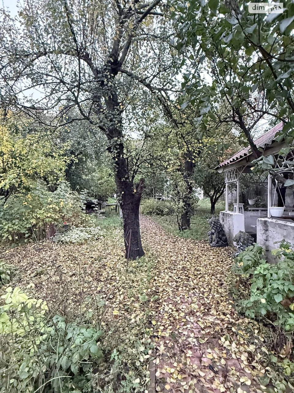 Продажа дома в Гиевке