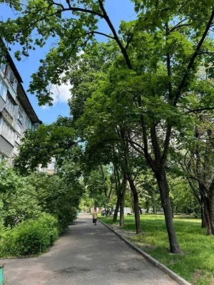 2-room apartment for sale, Voskresensky Ave., 30