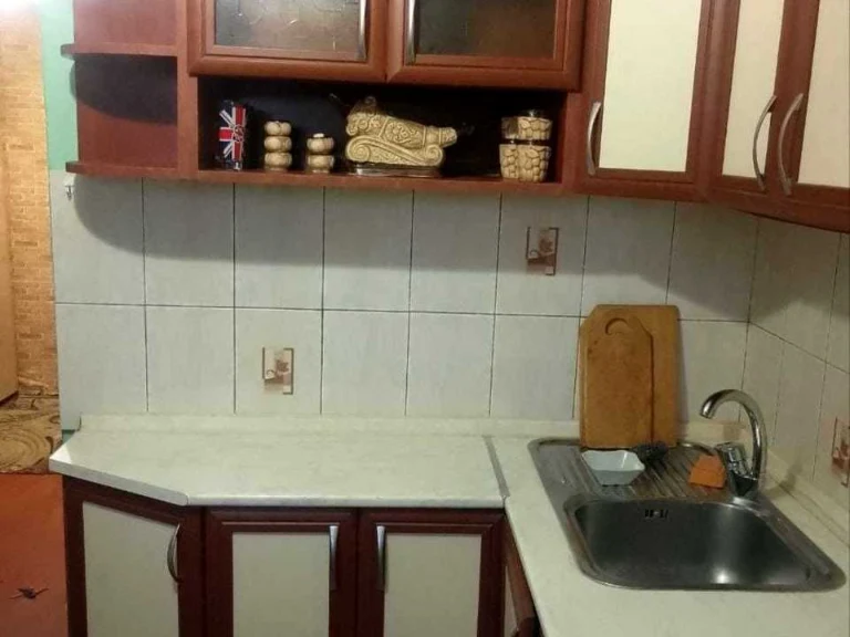 Apartment. Red Kalina Avenue, Kyiv