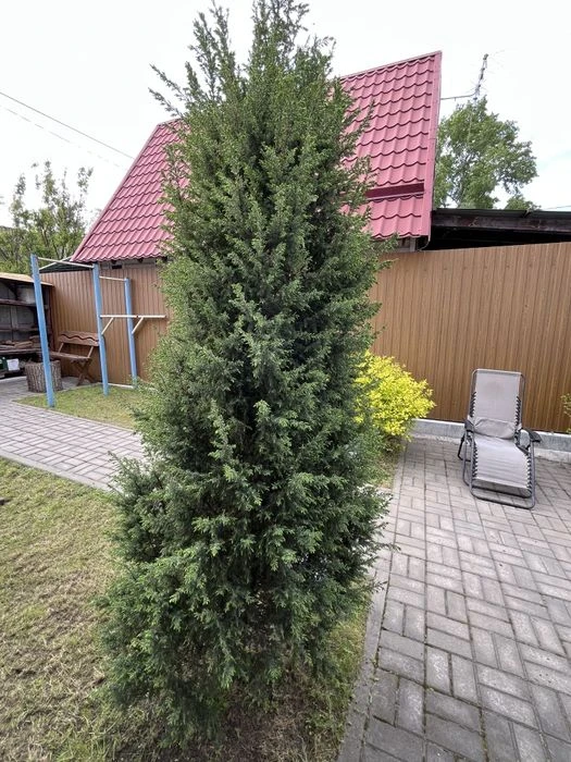 Терміновий продаж! Дача з технікою і меблями!! на Причалі  5