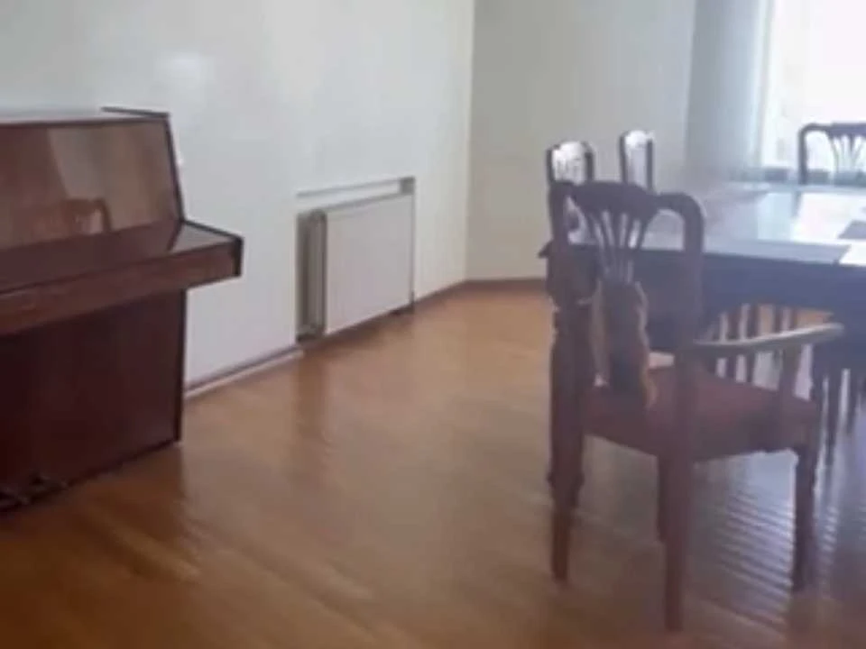 Apartment. Odesa, Pedagogical Street.