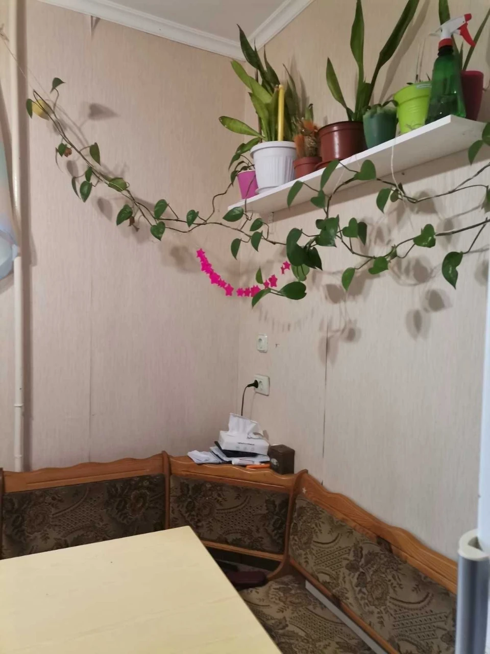 Rent 3-room apartment in Troschyna