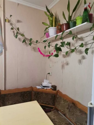 Rent 3-room apartment in Troschyna