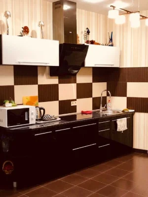 Апартаменти 65m² 11 поверх Вид на Дніпро по вул.Королеви Єли