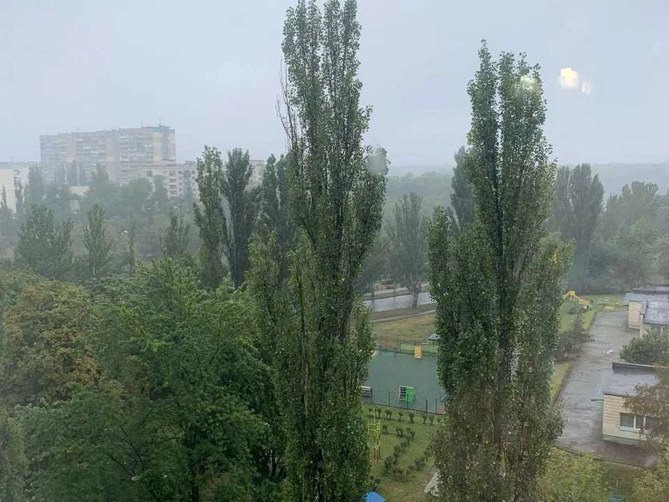 Квартира. Раїса Окіпна, Київ.