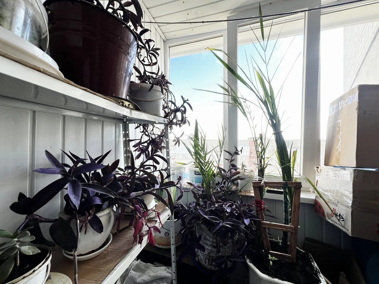 Sale of a 4-room apartment on P. Mira. Certificate. Furniture. Tech.