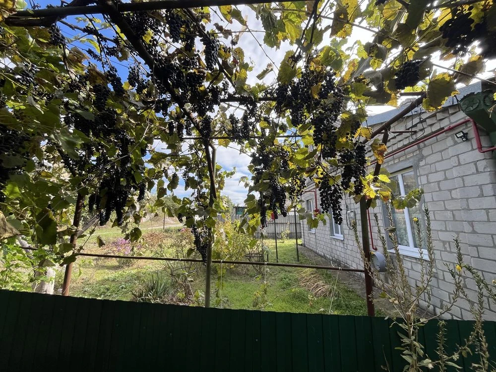 Продам будинок с. Миколаївна Дніпровського району