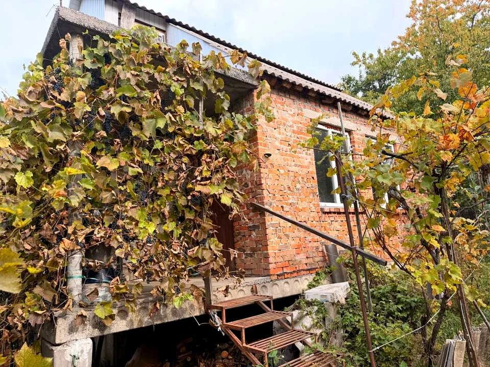 Дом. Волочиский проспект, Лезнево.