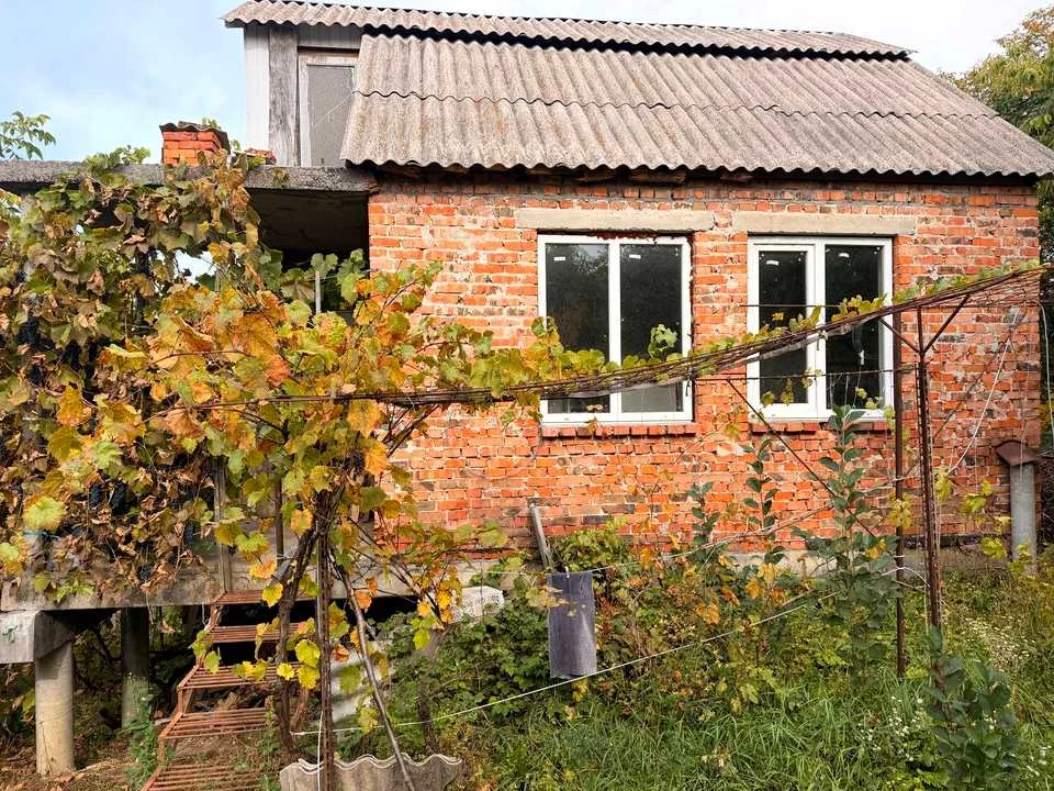 Дом. Волочиский проспект, Лезнево.