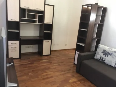 Long-Term Rental Apartment in Sofiivka (Halychian)