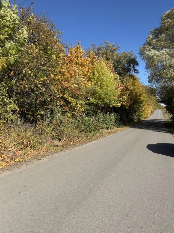 Sale of a 140-acre plot