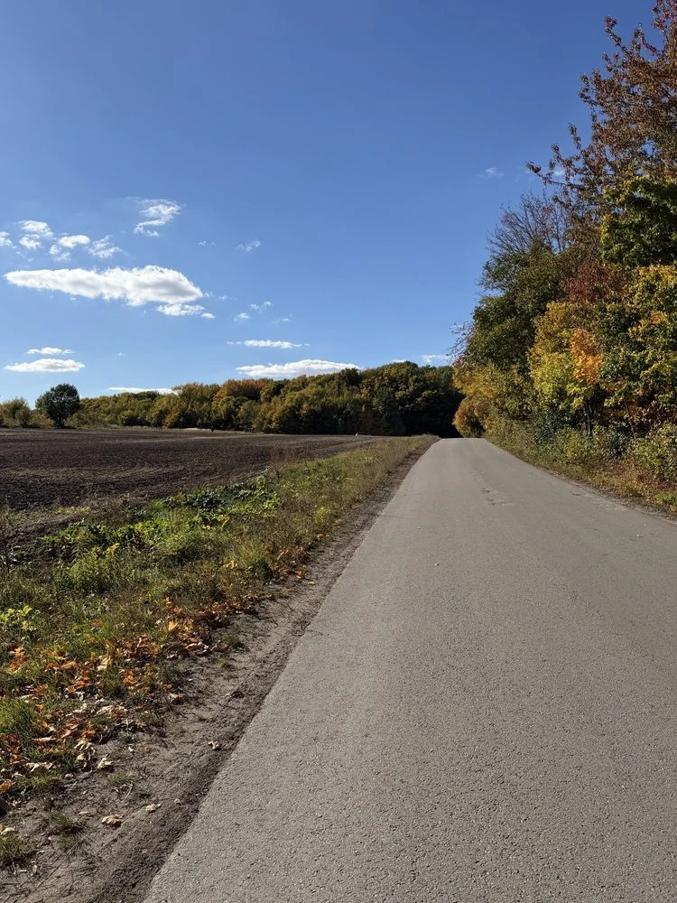 Sale of a 140-acre plot