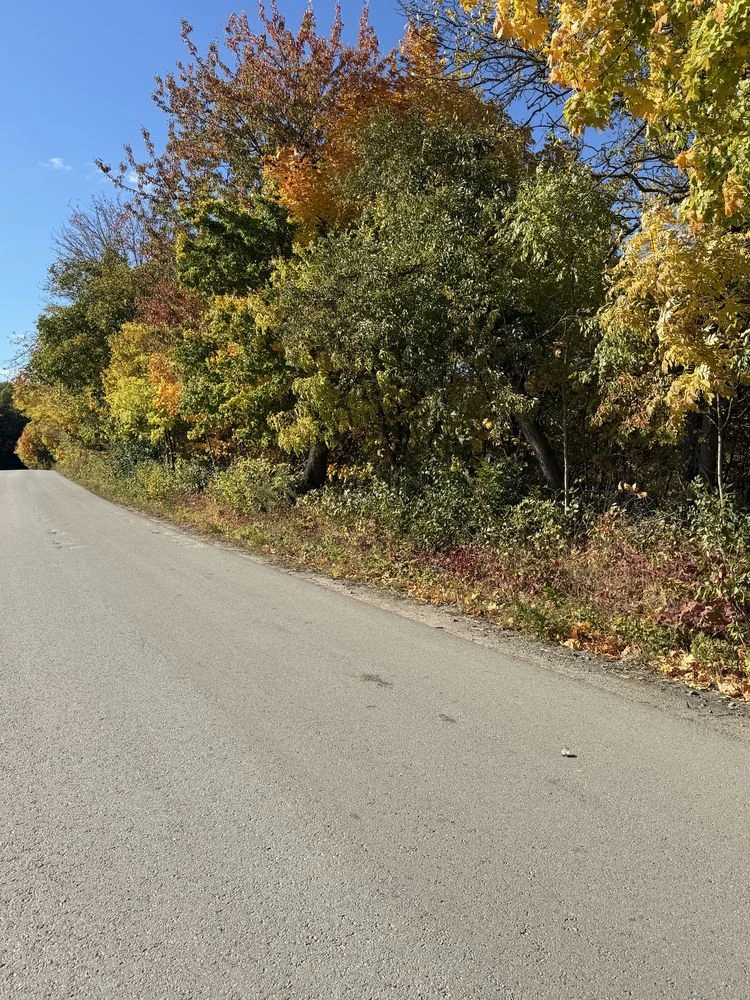 Sale of a 140-acre plot