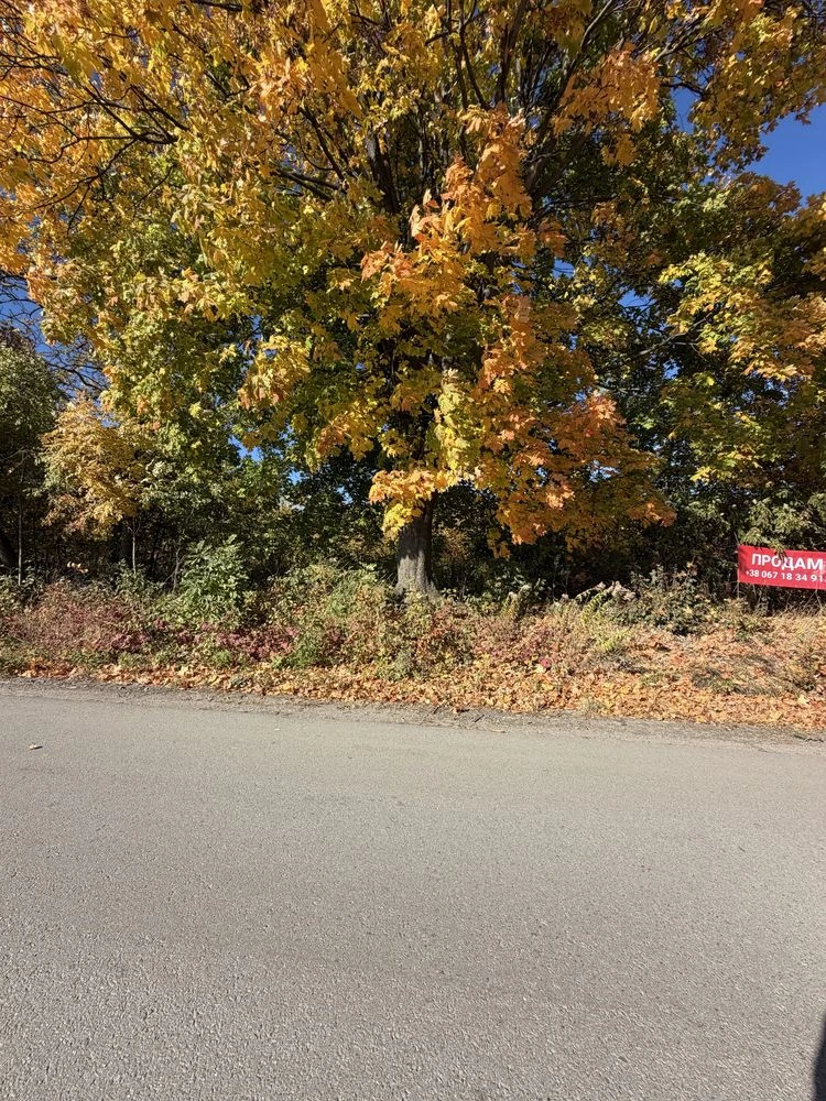 Sale of a 140-acre plot