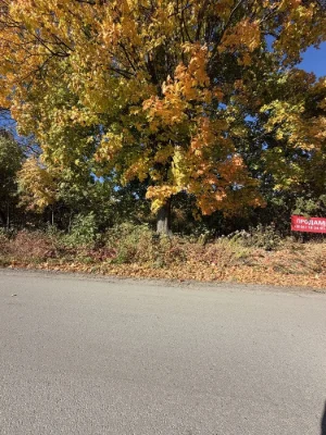 Sale of a 140-acre plot