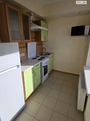 Long-Term Rental Apartment in the Center