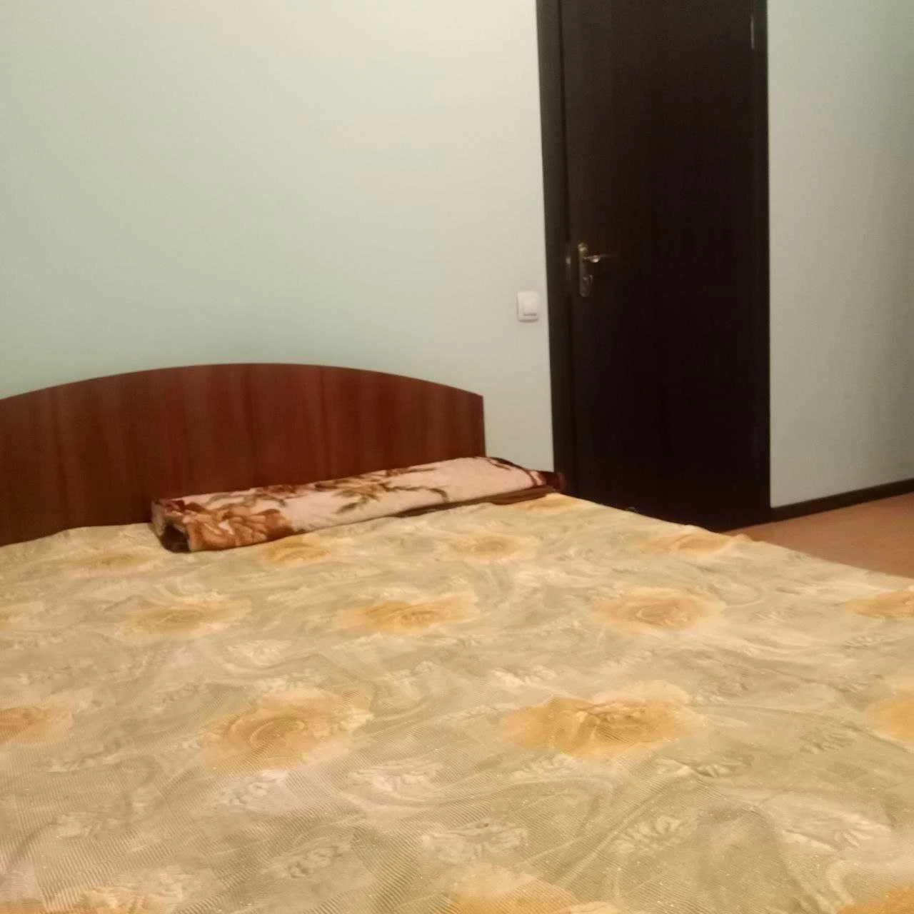 Квартира в Голосіївському районі, генератор
