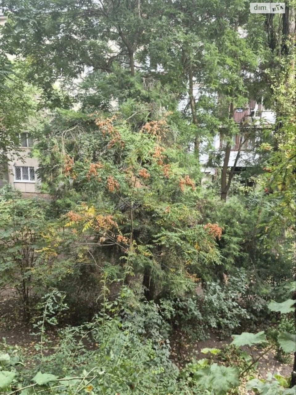 Продаж Квартира