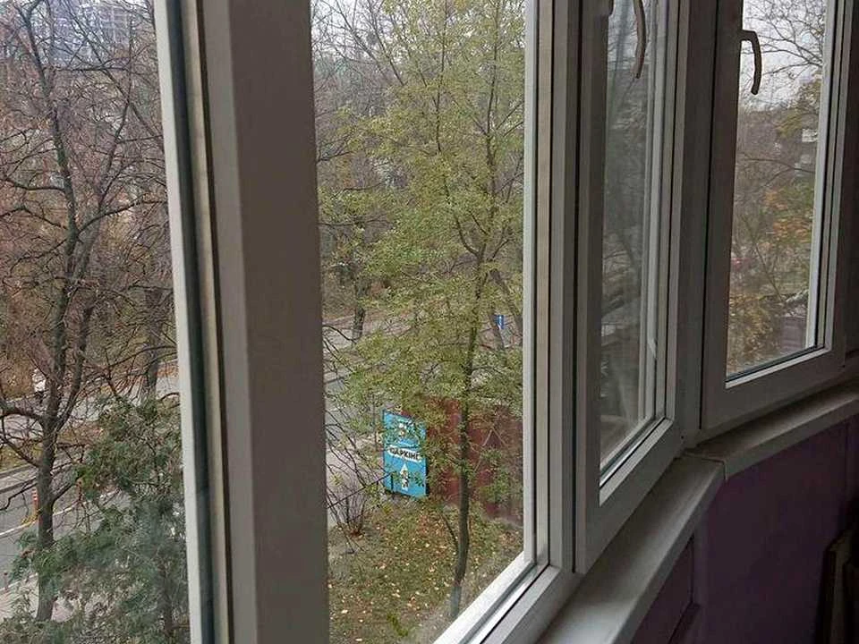 Квартира. Киев, Зоологическая улица