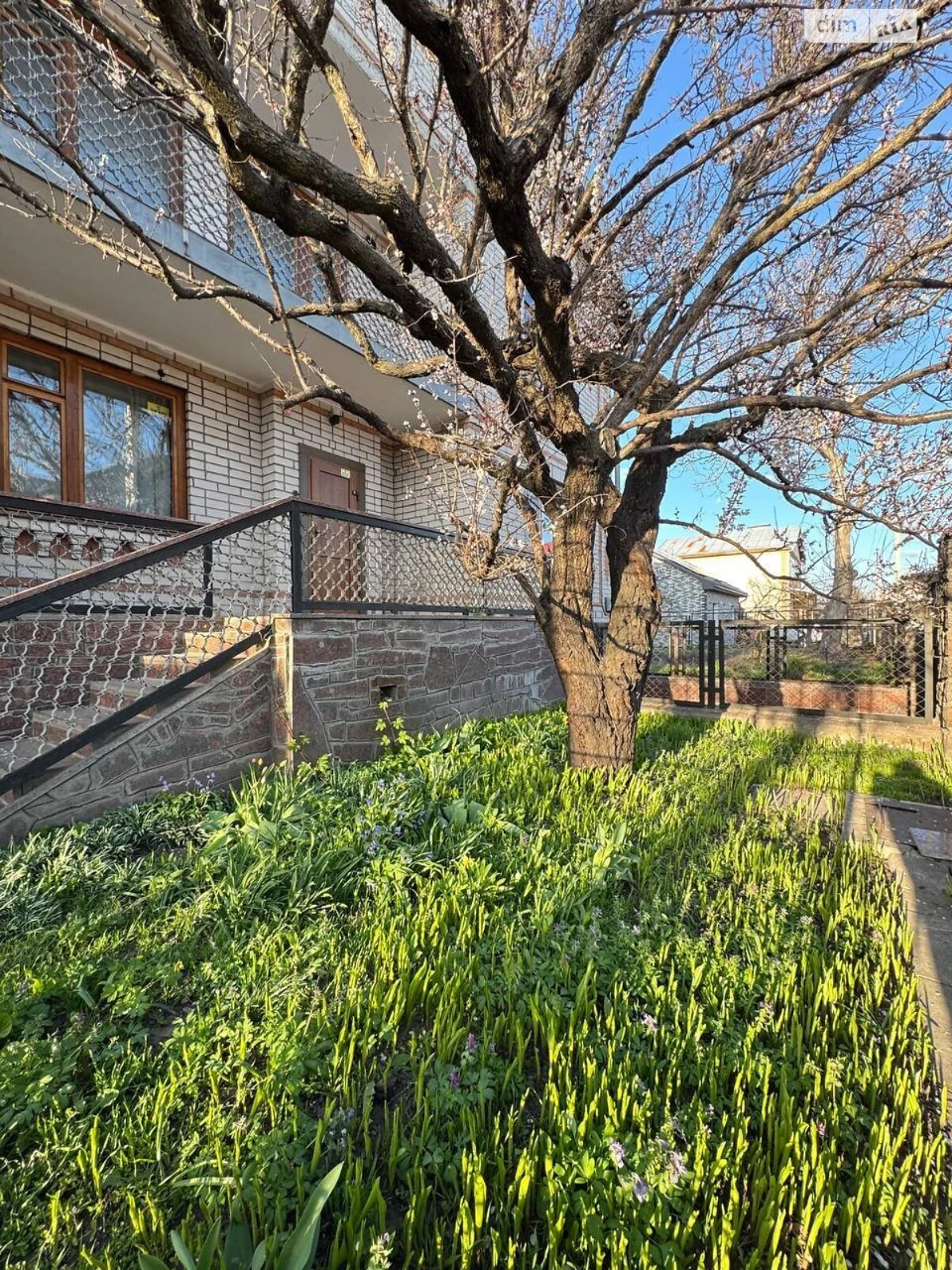 Sale of House in Maslanyivka