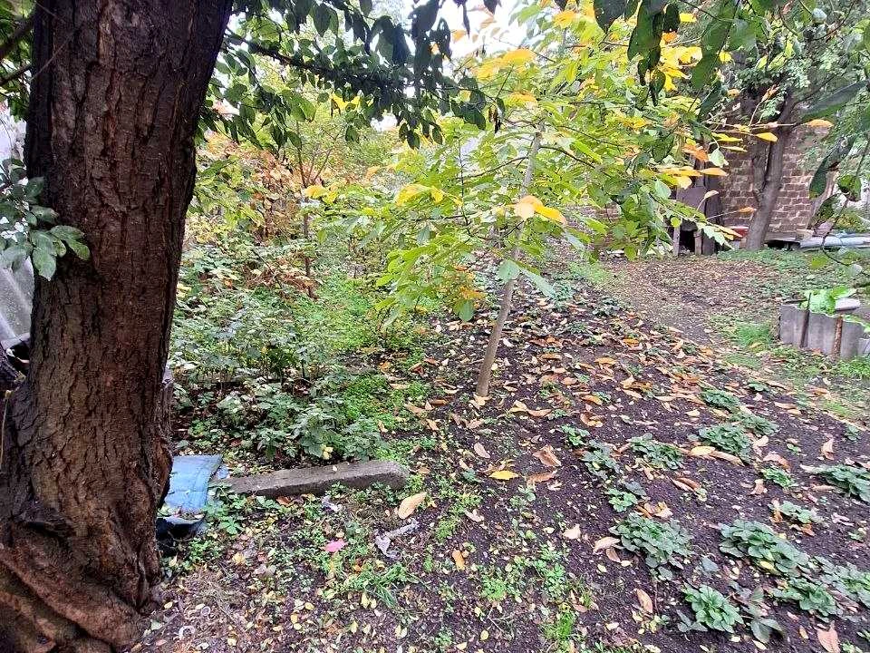 Ділянка. Львів, Ковельська вул.