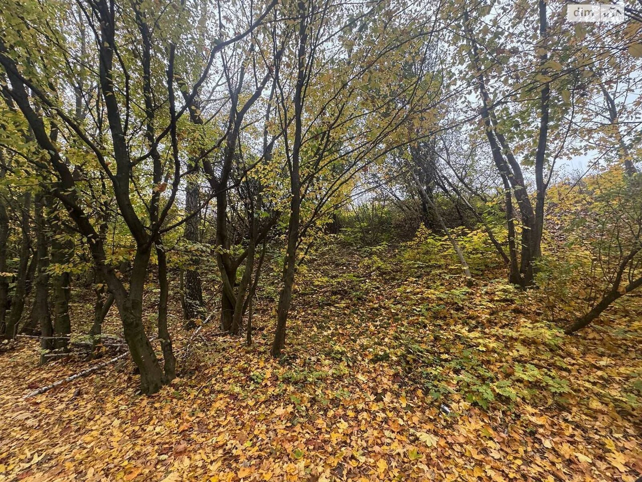 Продаж Земля комерційного призначення Оболоня