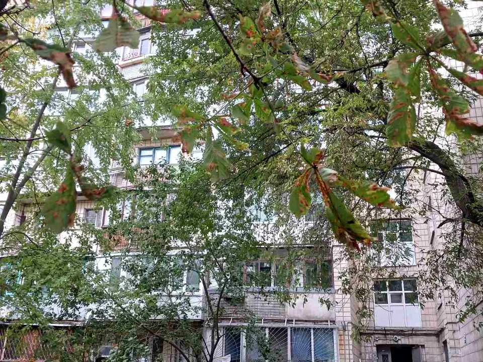 Квартира. Київ, Озерна вул.