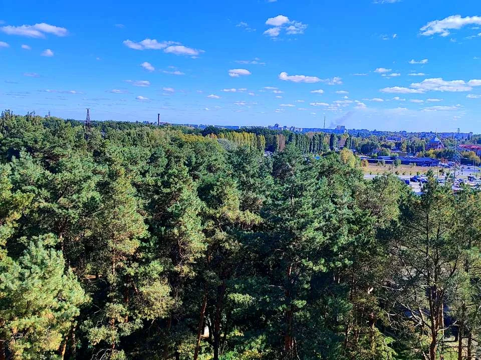 Квартира. Чернігів, Любецька вул.