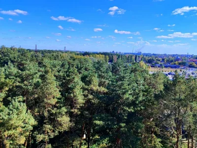Квартира. Чернігів, Любецька вул.