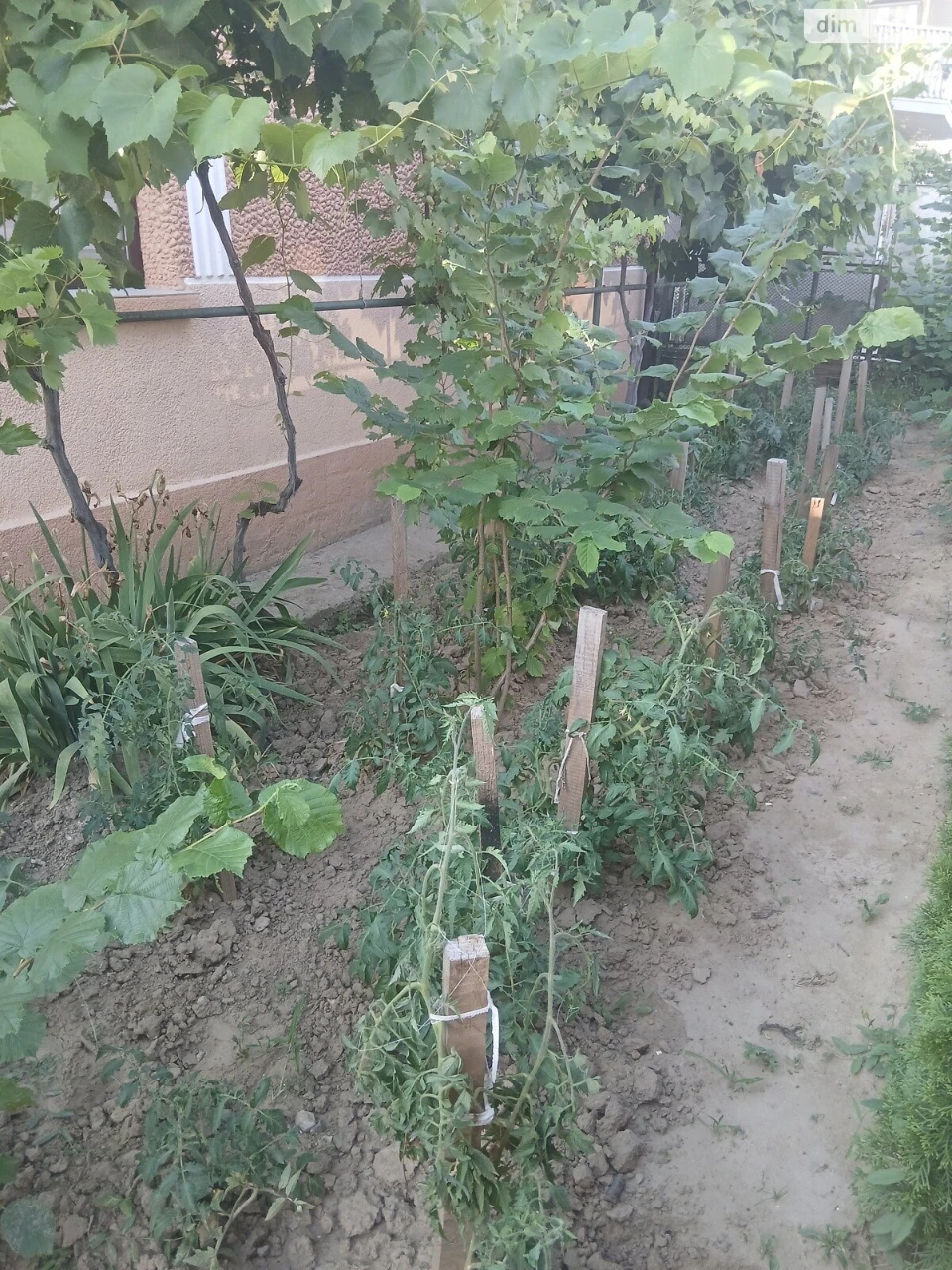 Продаж Дім Новий