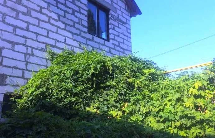 Будинок у Києво-Бориспільському районі