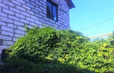 Будинок у Києво-Бориспільському районі