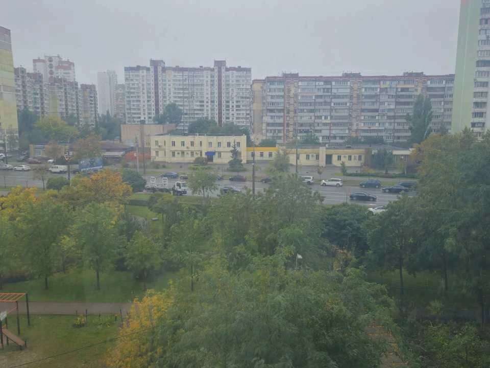Apartment. Red Kalina Avenue, Kyiv.