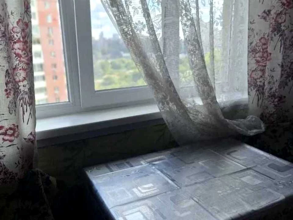 Apartment. Professor Gerasyuti Street, Dnipro