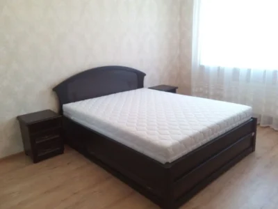Long-Term Rental Apartment Holosiiv