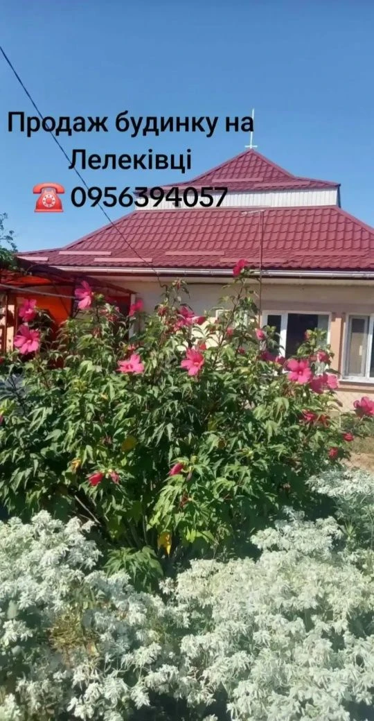 Sale of a cozy house in Lelekovka