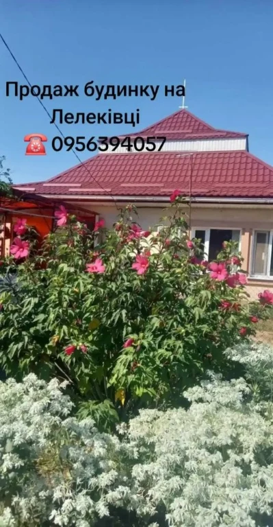 Sale of a cozy house in Lelekovka