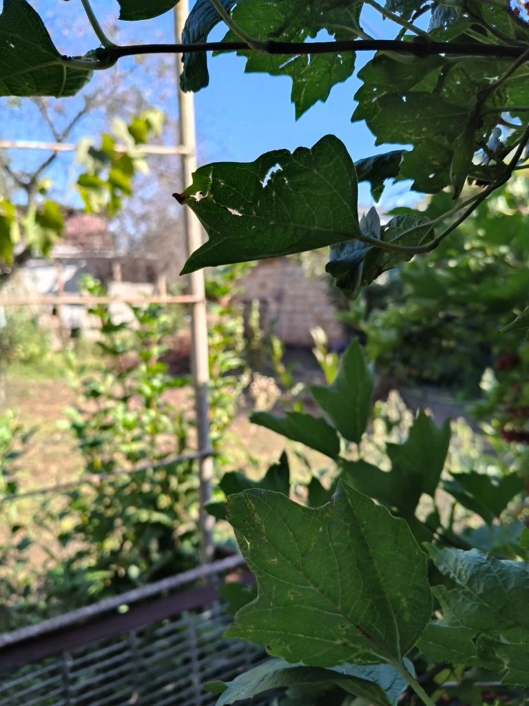 Продам дом , Ленпоселок, 40 тыс
