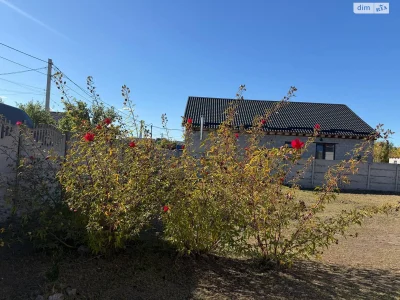 Long-Term Rent House Amur